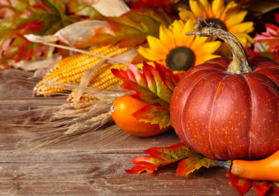 Harvest Time
