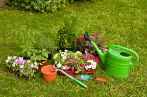 Gärtnern, gardening