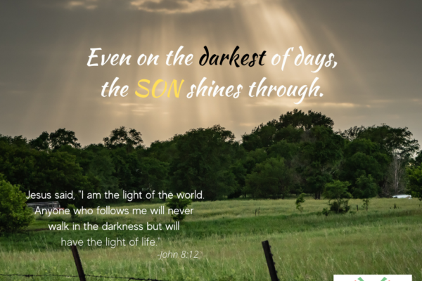 The Son Shines Through